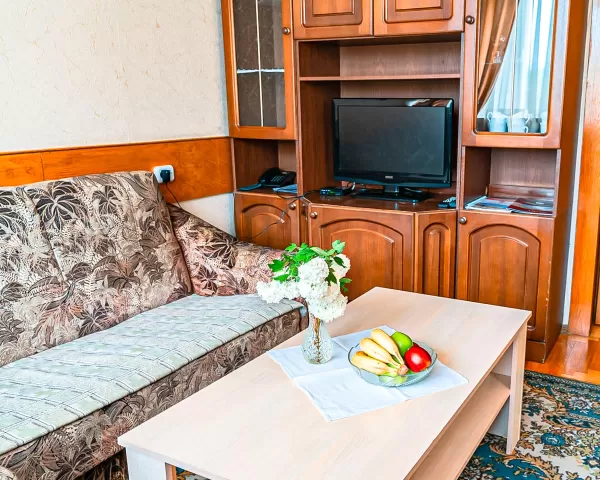 Номер 2-местный 2-конатный ПК в Центральном Военном Санатории в г. Пятигорске - фотография